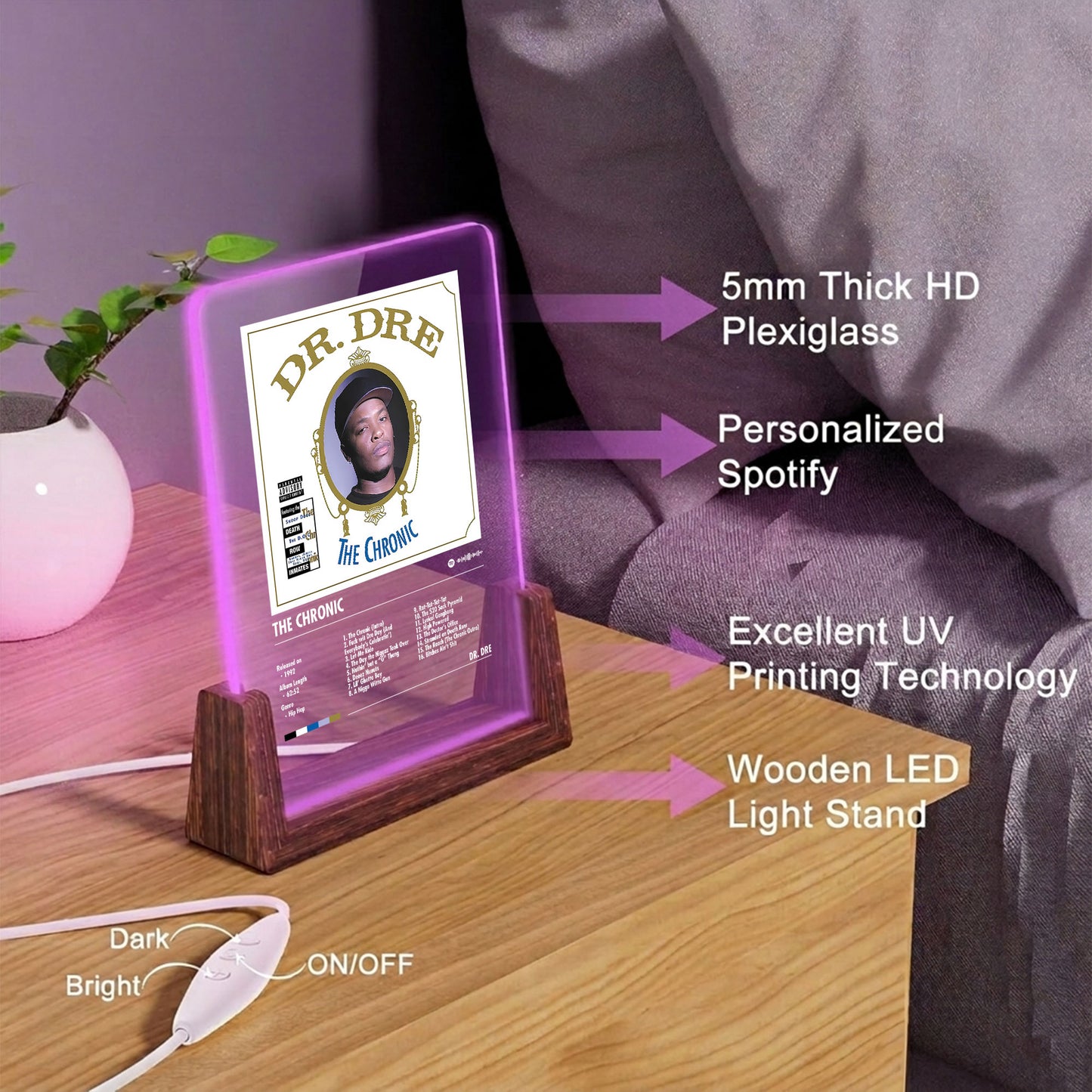 Dr. Dre "The Chronic" Album Decor Acrylic LED Frame