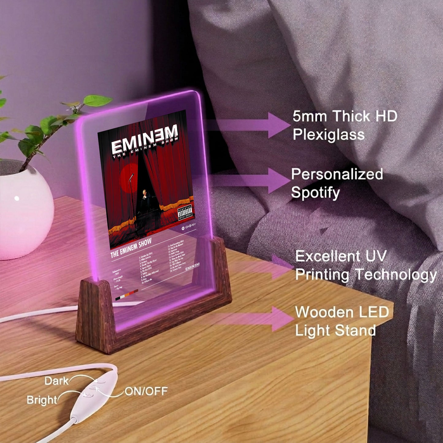 Eminem "The Eminem Show" Album Decor Acrylic LED Frame