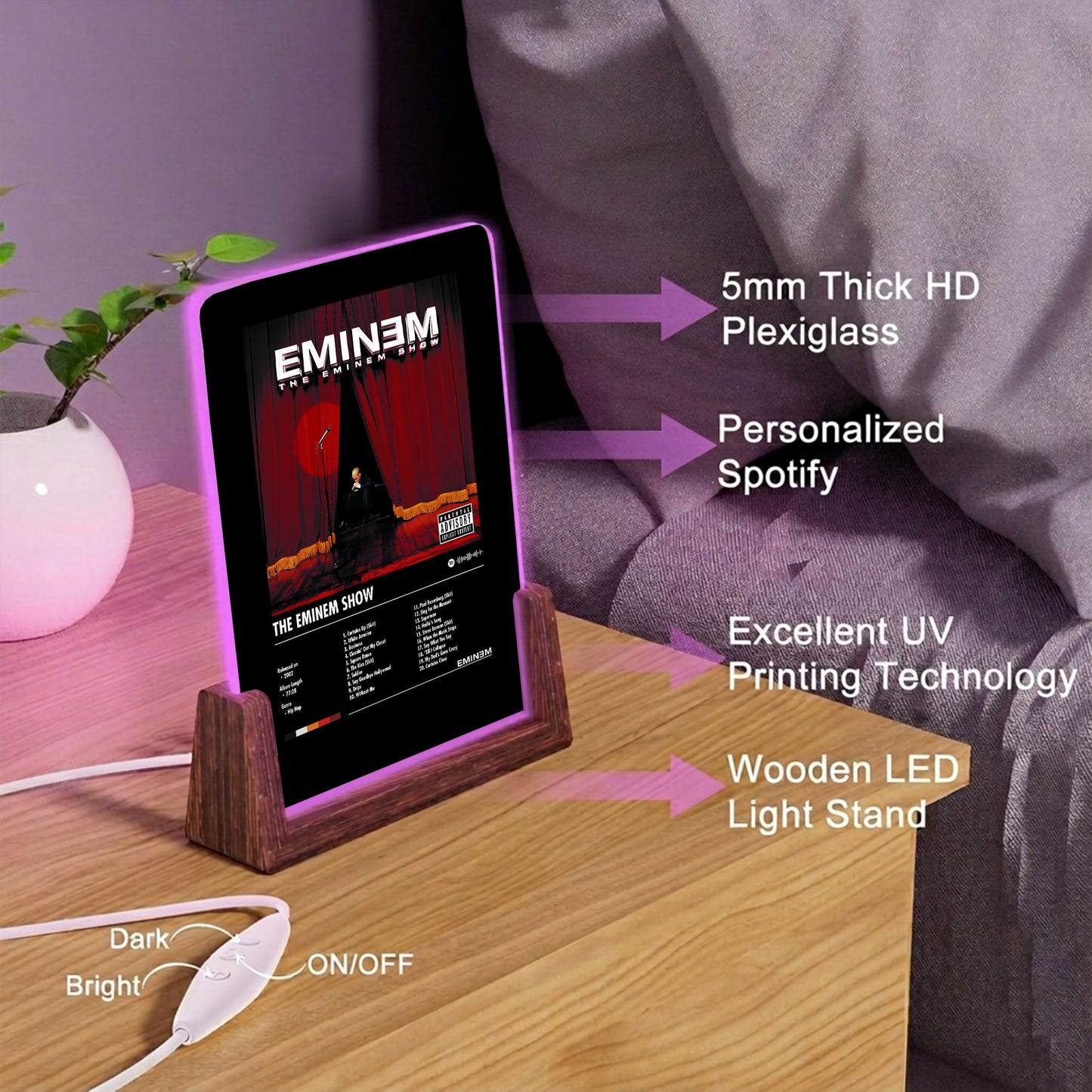 Eminem "The Eminem Show" Album Decor Acrylic LED Frame